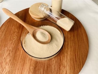 腸内プロバイオティクスはペットの免疫システムを高めることができますか?